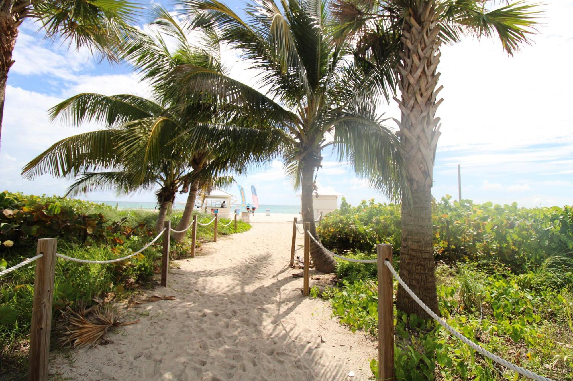 מיאמי ביץ' Alexander 1211 Beachfront Condo With Direct Beach Access, 2 Pools, Sauna, Gym מראה חיצוני תמונה
